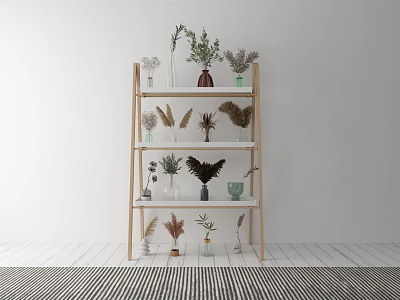 Multi Tiered Wooden Shelf with Potted Plants Dried Flowers and Decorative Vases for Garden Decor 3d model