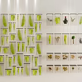 Wall Display With Transparent Cases Holding Diverse Plant Specimens And Green Leaves