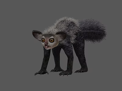 Gray Scaled Reptile With Large Ears Fluffy Tail And Dark Legs On Gray Background 3d model