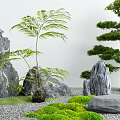 Natural Courtyard Garden with Large Rocks Green Ferns Pine Tree and Mossy Gravel