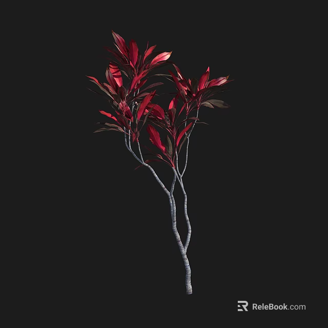 Vibrant Red Leaf Shrub With Slender Branches Against Black Background 3d model 
