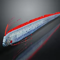 Long Gray Fish with Red Dorsal Fin and Whisker like Head on Dark Reflective Background
