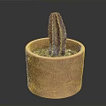 Decorative Terracotta Pot With Purple Cactus And Small Black Stones For Home Decor