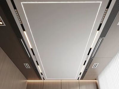 Modern Minimalist Ceiling Design With White Surface Black Trim And Recessed Lighting 3d model