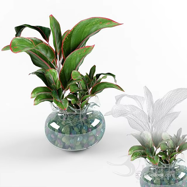 Green Leaf Potted Plant in Transparent Glass Pot with Red Edges and Colorful Pebbles 3d model 