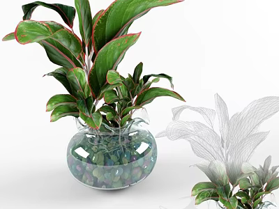 Green Leaf Potted Plant in Transparent Glass Pot with Red Edges and Colorful Pebbles 3d model