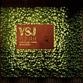 Lush Green Plant Feature Wall With Red Background Logo And Wild Design Studio Elements