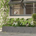 Lush Green Plant Wall With Monstera Vines White Flowers And Gray Planter By Window
