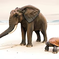 Elephant Turtle 3d model