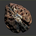 Natural Walnut with rough brown shell and detailed texture on dark reflective background