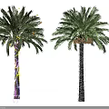 Outdoor Lights Wrapped Around Palm Trees For Exterior Decoration With Colorful Glow