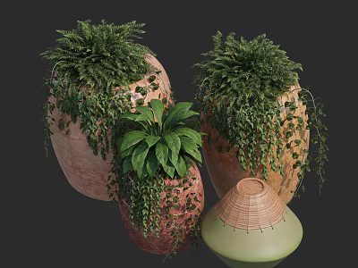 Decorative Bonsai Potted Plants with Lush Green Leaves Hanging Vines and Ceramic Pots 3d model