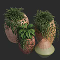 Decorative Bonsai Potted Plants with Lush Green Leaves Hanging Vines and Ceramic Pots