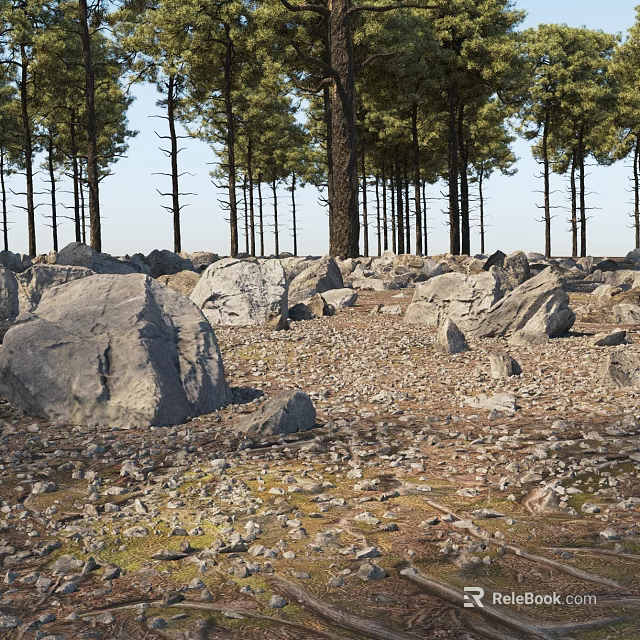Large Scattered Stones And Wooden Debris On Ground In Pine Tree Forest 3d model 