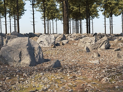 Stone Real Ground Pine 3d model