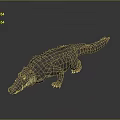 Crocodile Alligator Nile Crocodile carnivore reptile cold-blooded animal reptile 3d model
