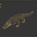 Crocodile Alligator Nile Crocodile carnivore reptile cold-blooded animal reptile reptile 3d model