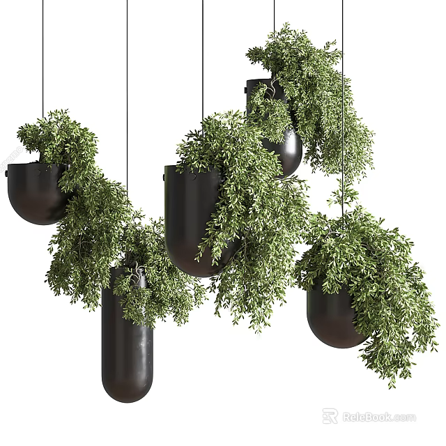 Multiple Black Hanging Planters With Vibrant Lush Trailing Green Plants 3d model 