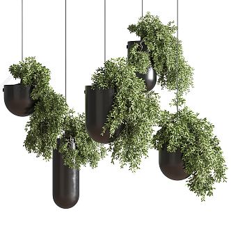 Modern Hanging Basket Green Plant Hanging Basket Potted Plant Indoor Green Plant Combination Hanging Basket Plant Indoor Hanging Basket Creative Hanging Basket 3d model