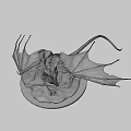 White Mythical Dragon Game Movie Character With Large Wings Standing On Rocky Terrain