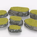 Natural Stone Stepping Stones with Wood Like Texture and Mossy Yellow Tops