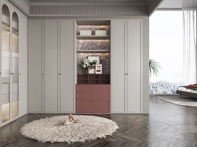 Modern Walk In Closet With Light Gray Cabinets Pink Drawers And Fluffy Rug 3d model