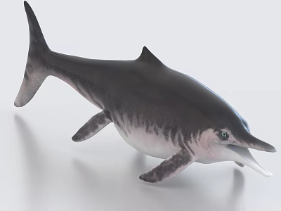 Realistic Ichthyosaur Model With Streamlined Body Flippers And Pointed Snout In Marine Habitat 3d model
