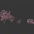 Three Pink Flowering Trees in 3D Model with White Background and Different Sizes