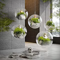 Indoor Landscape With Hanging Transparent Spherical Glass Orbs And Green Plants