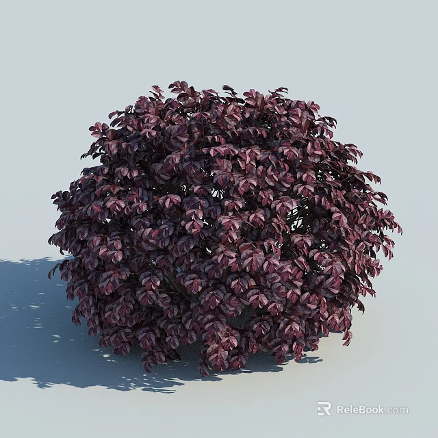 Round Shaped Bush With Deep Purple Leaves And Lush Dense Foliage 3d model 