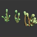Coral Shaped Plants With Orange Stems And White Yellow Tips On White Background
