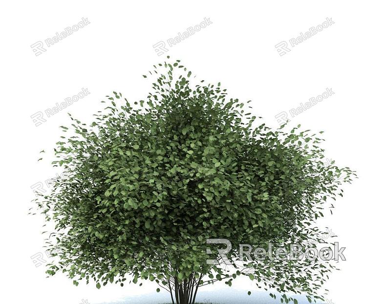 Modern Trees model