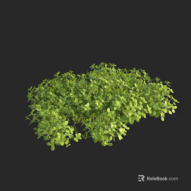 Lush Green Aquatic Plants With Vibrant Foliage And Dense Fresh Growth 3d model 
