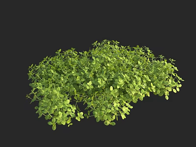 Lush Green Aquatic Plants With Vibrant Foliage And Dense Fresh Growth 3d model
