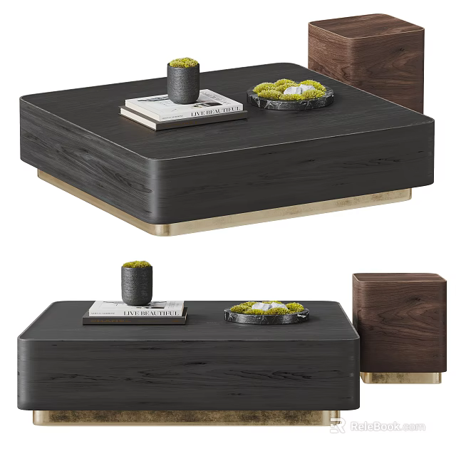 Modern Elegant Coffee Table Wooden Design With Marble Tray Green Plant And Metal Base 3d model 
