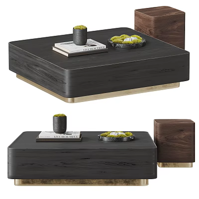 Modern Elegant Coffee Table Wooden Design With Marble Tray Green Plant And Metal Base 3d model