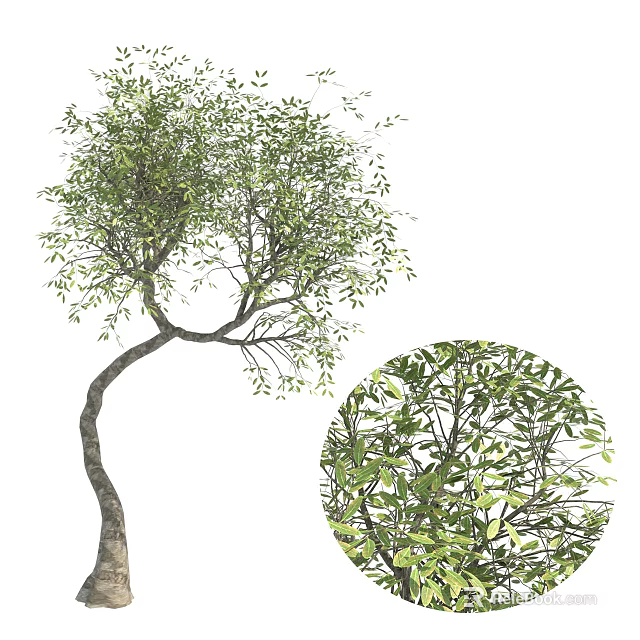 Lush Green Arbor With Curved Trunk And Dense Foliage Details For Landscaping 3d model 