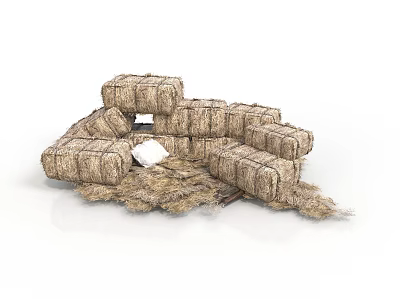 Stacked Hay Bales Building Structure With Natural Material And Central White Object 3d model