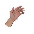 Human Hand Close Up View With Palm Up Position On White Background 3d model