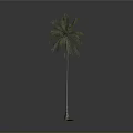 Tall Palm Tree With Green Leaves Standing On Square Base Against Gray Background