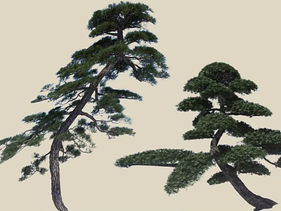 Unique Pine Arbor Trees With Curved Trunk And Layered Branches Lush Foliage 3d model