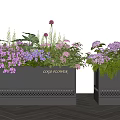 Bonsai Potted Plants in Black LONGWEI Planters with Purple Pink Flowers Green Leaves Perforated Base