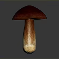 Fresh Edible Mushroom with Vibrant Red Cap and Brown Stem