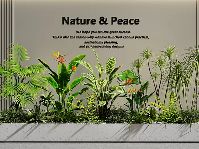 Indoor Plant Combination With Various Green Foliage And Nature Peace Theme Decor 3d model