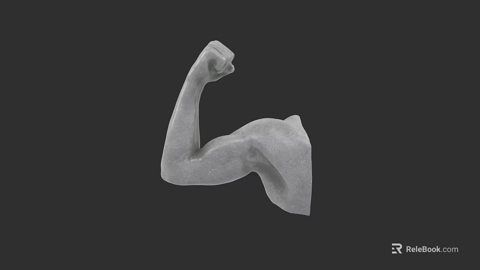 Detailed Muscular Human Arm Sculpture With Flexed Bicep And Gray Finish 3d model 
