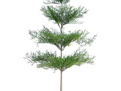 Three Tiered Green Plant Decorative Ornament Set With Lush Foliage For Home Decoration 3d model
