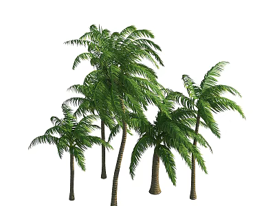 Tall Green Palm Trees With Lush Leaves And Sturdy Trunks In Natural Landscape 3d model