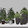 Diverse Bonsai Potted Plants In Stylish Ceramic And Metal Pots For Home Decor