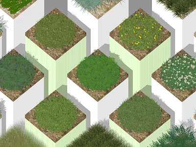 Square Planters Arranged with Various Green Plants and Yellow Flowers Design 3d model