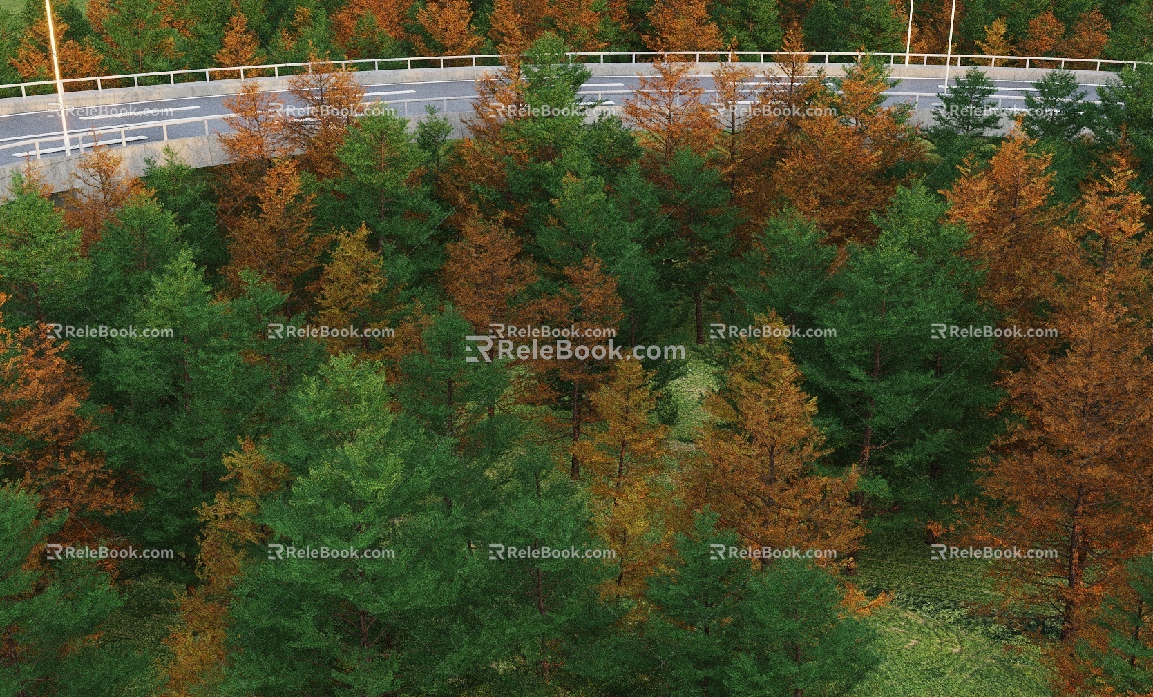 Modern Tree Japanese Larch Group Tree Bird's Eye Tree 3d model